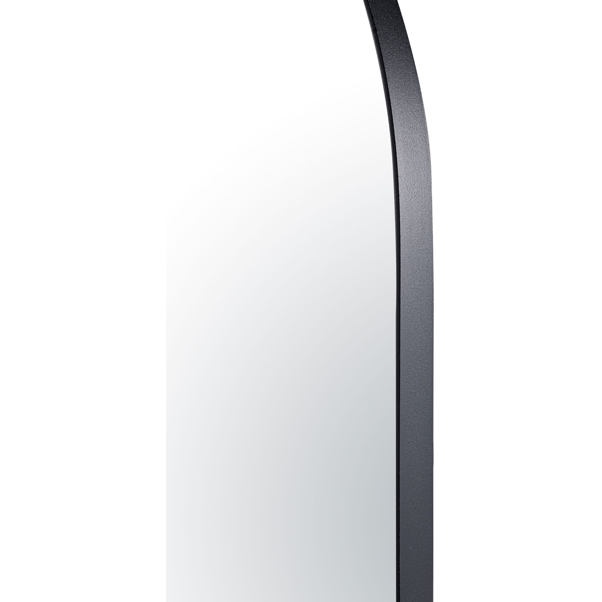 Capsule 60 X 24 inch Black Wall Mirror