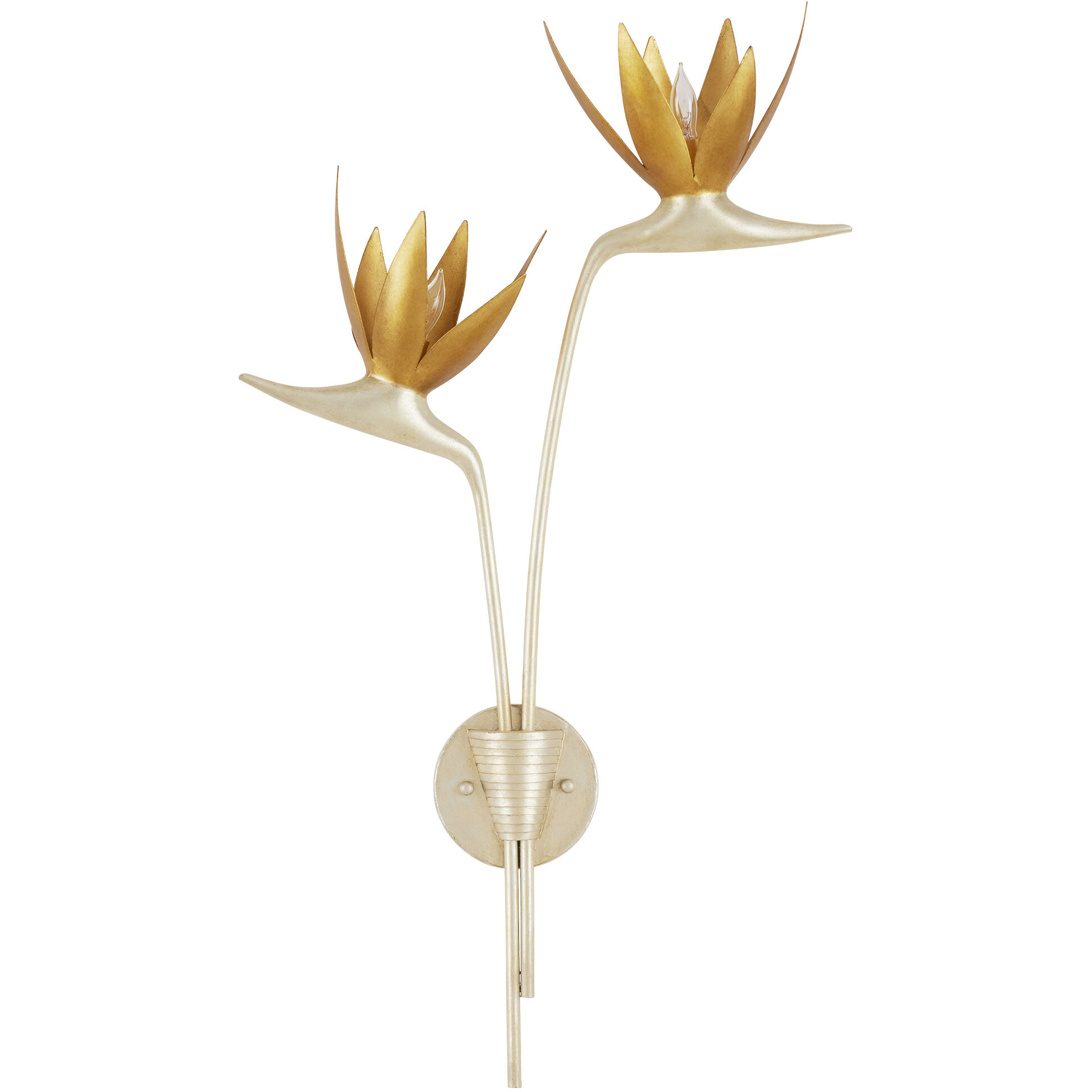 Paradiso Wall Sconce Wall Light, Right