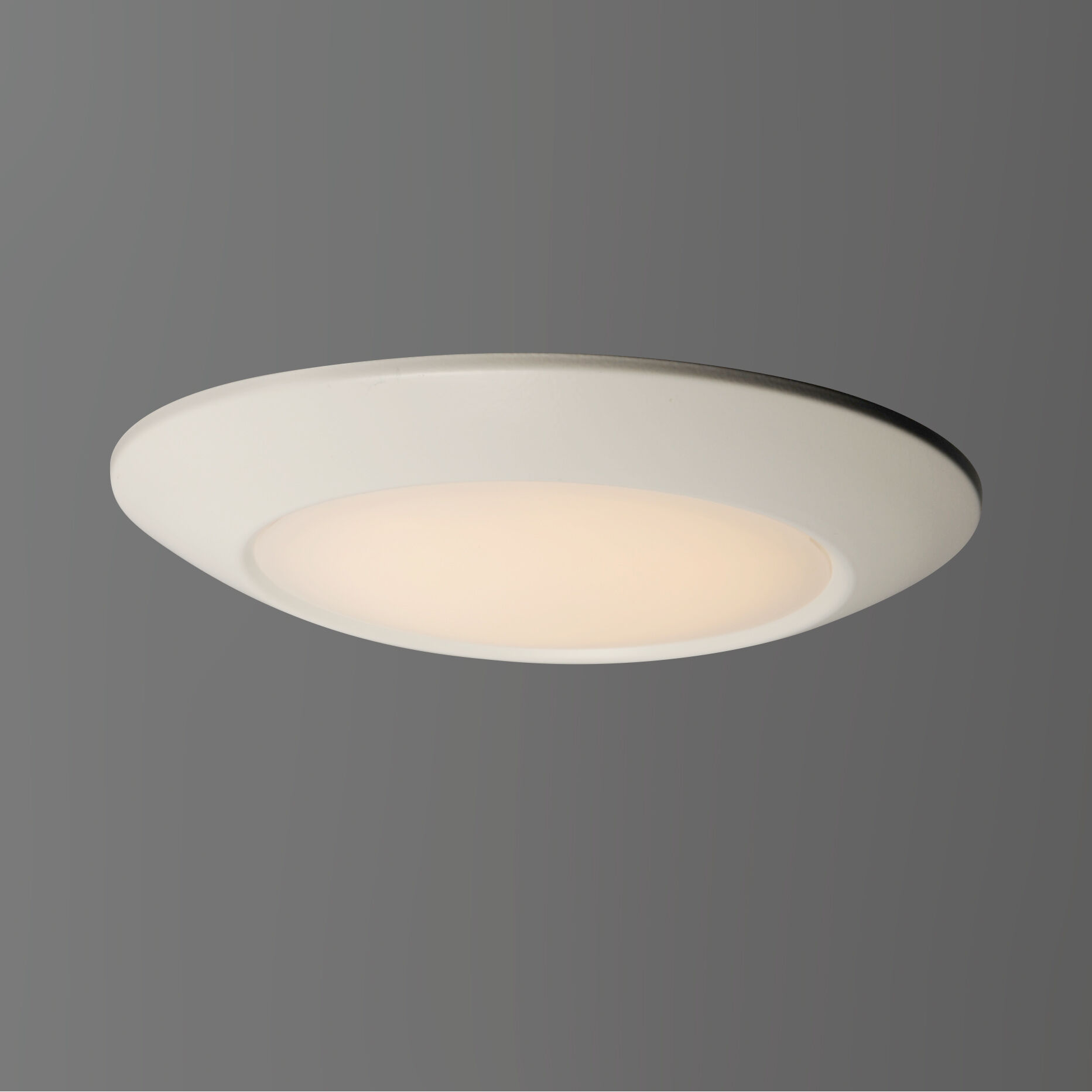 Diverse LED LED 9 inch White Flush Mount Ceiling Light