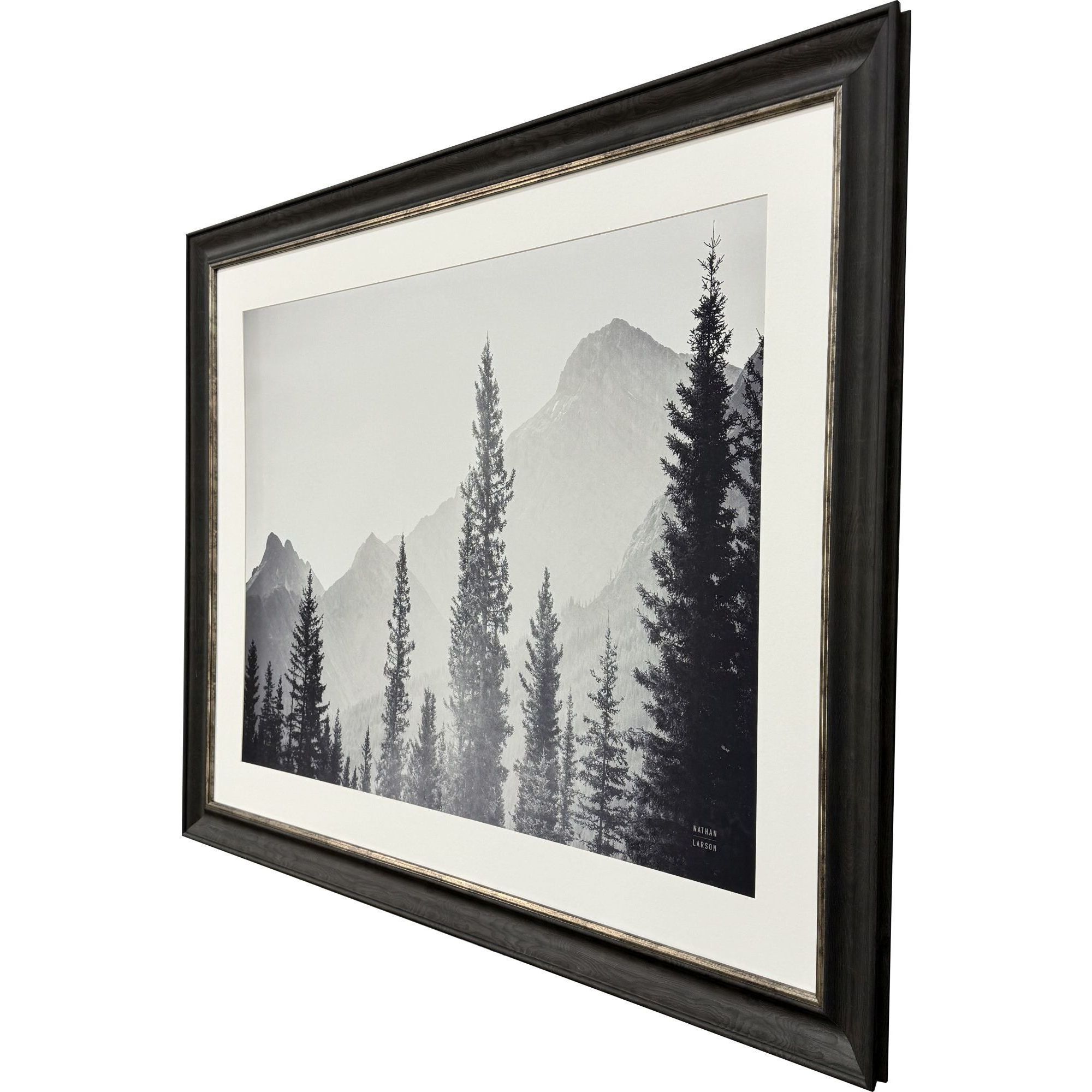Kanaskis Country Gray and Black and Multi and White Framed Art