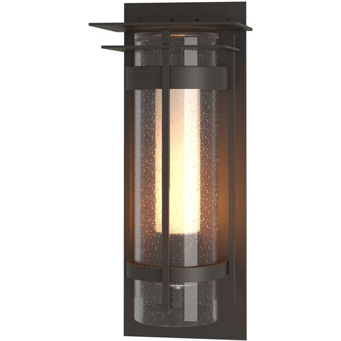 Torch 1 Light 16.2 inch Coastal Dark Smoke Outdoor Sconce