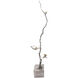 Branch Silver and Gold Decorative Accent in Silver / Gold