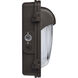 ColorQuick;PowerQuick 15.55 inch Bronze Emergency Lighting Wall Light