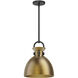 Alora Mood Waldo 1 Light 10.5 inch Matte Black and Aged Gold Pendant Ceiling Light