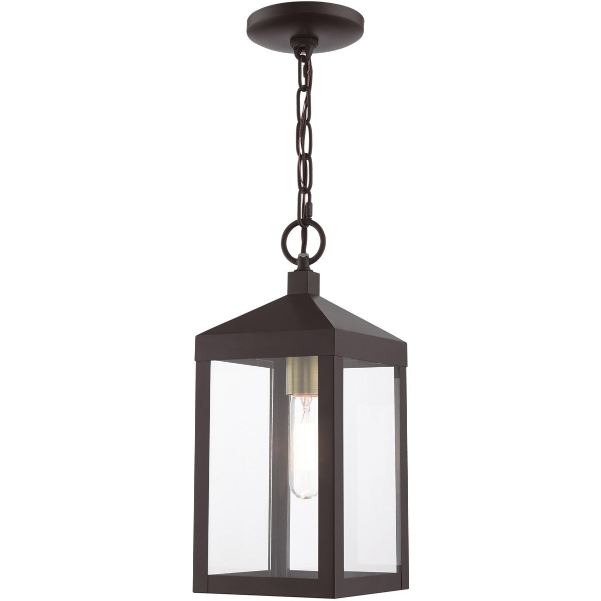 Nyack 1 Light 6.25 inch Bronze with Antique Brass Cluser Outdoor Pendant Lantern