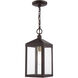 Nyack 1 Light 6.25 inch Bronze with Antique Brass Cluser Outdoor Pendant Lantern