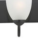 Axis 5 Light 36 inch Black Bath Vanity Wall Light