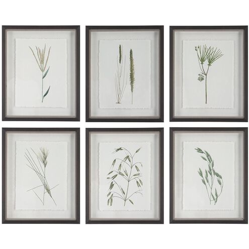 Forest Finds 22 X 18 inch Framed Prints, Set of 6