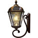 Royal LED 21 inch Brushed Bronze Outdoor Wall Sconce