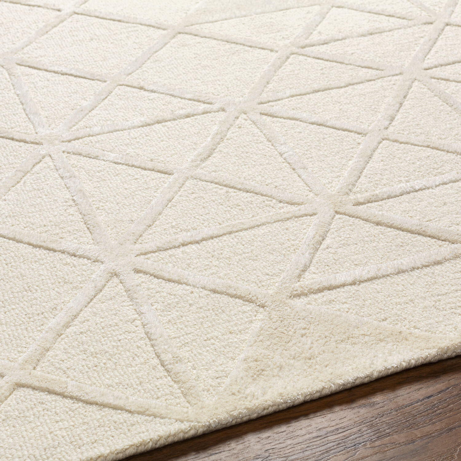 Addison 90 X 60 inch Beige Rug, Rectangle