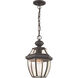 Monterey 1 Light 8.5 inch Bronze Outdoor Pendant Lantern