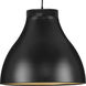 Radian LED LED 16 inch Matte Black Pendant Ceiling Light, Progress LED