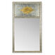 Jamie Merida 56 X 32 inch Antique Silver Leaf/Clear Wall Mirror
