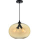 Glass 4 Light 16 inch Black Down Pendant Ceiling Light