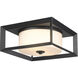 Smyth 2 Light 5.88 inch Natural White Outdoor Ceiling in Seeded Glass