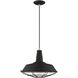 Allison 1 Light 14 inch Black Mini Pendant Ceiling Light