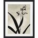 Florals Collection Black Framed Art