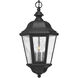 Estate Series Edgewater 3 Light 10 inch Black Outdoor Hanging Lantern in Non-LED