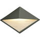 Ambiance LED 8 inch Pewter Green Outdoor Wall Sconce in Incandescent