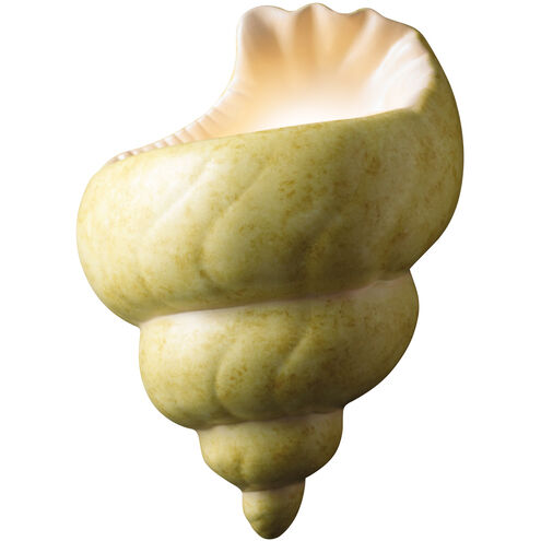 Ambiance Conch Shell LED 10.5 inch Greco Travertine Wall Sconce Wall Light