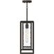 Shaw 1 Light 7 inch Antique Bronze Outdoor Pendant