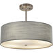 EVOLV 18 inch Brushed Nickel Pendant Ceiling Light in Gray, Classic Family