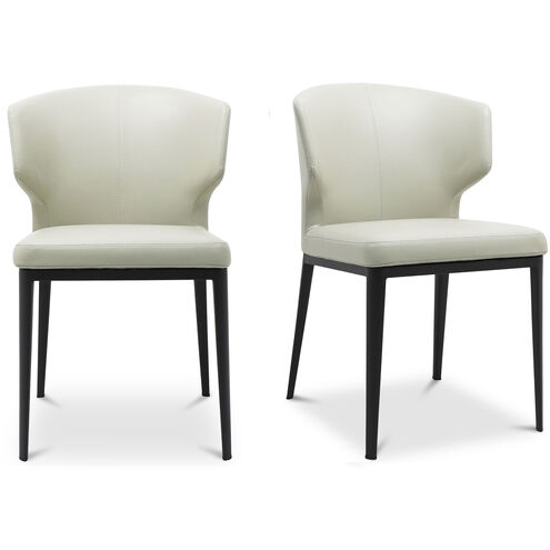 Delaney Beige Side Chair, Set of 2