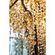Canada LED 43 inch Gold Chandelier Ceiling Light, Crystal