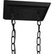 Anita 12 Light 18 inch Black Down Chandelier Ceiling Light