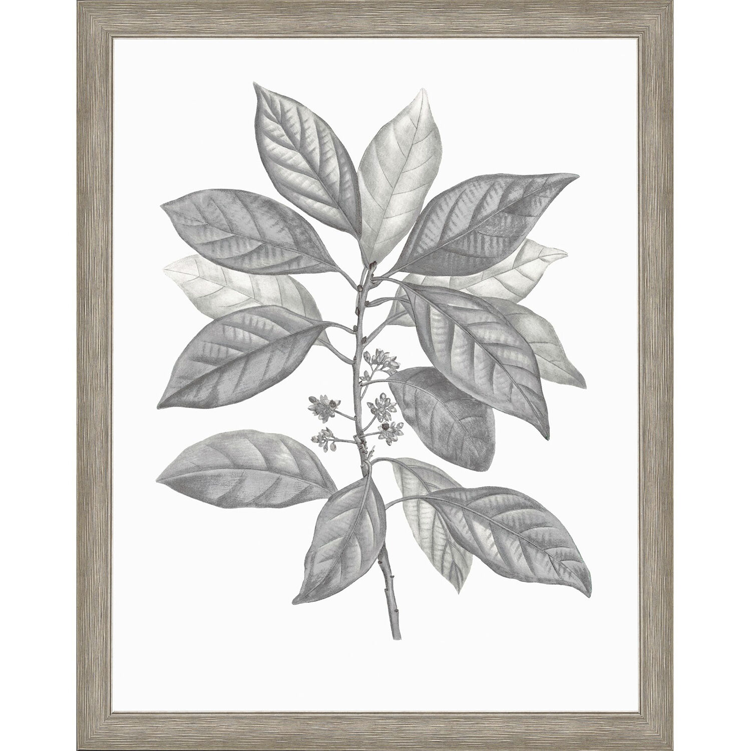 Silvered Leaves Gray and Brown and Green and Neutral Framed Art