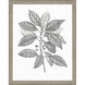 Silvered Leaves Gray and Brown and Green and Neutral Framed Art