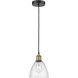 Edison Dome 1 Light 7.5 inch Black Antique Brass Mini Pendant Ceiling Light in Seedy Glass