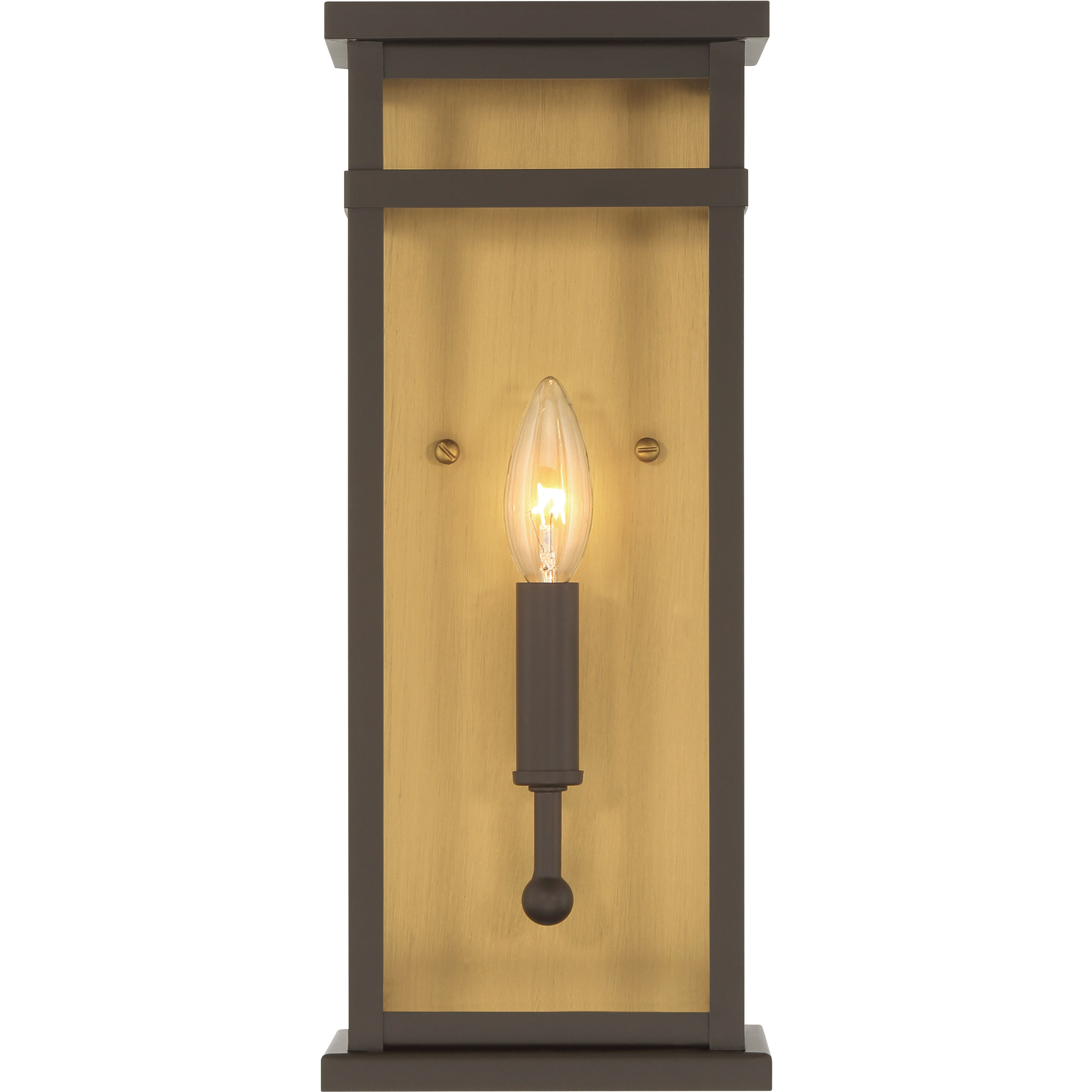 Briarlane 1 Light 14.5 inch Painted Legacy Brass and Dark Bronze Outdoor Wall Sconce
