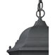 Temple Hill 1 Light 10 inch Matte Textured Black Outdoor Pendant
