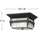 Estate Series Harbor 2 Light 12.25 inch Satin Black Outdoor Flush Mount