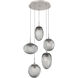 Cosmos LED LED 24.4 inch Beige Silver Chandelier Ceiling Light in Metallic Beige Silver, Clear Floret Inner with Smoke Cosmos Outer, 2700K LED, Round Multi-Port