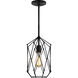 Zarra 1 Light 8 inch Midnight Black Pendant Ceiling Light