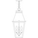 Croydon 3 Light 10 inch Pewter Pendant Ceiling Light in Clear Seedy