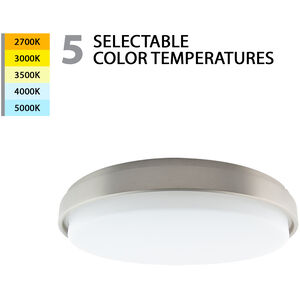 Lithium LED 18.82 inch Brushed Nickel Flush Mount Ceiling Light