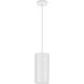 CYL RNDS 1 Light 6 inch White Outdoor Pendant