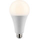 Lumos Medium 36.00 watt 2700 Utility Lamp