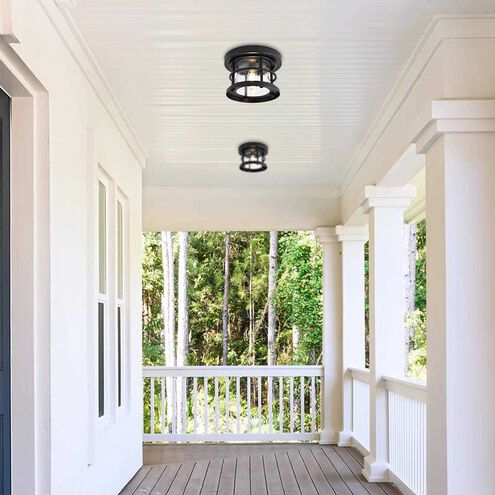 Carla 1 Light 8 inch Black Outdoor Flush Mount