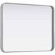 Remy 32 X 24 inch Silver Mirror