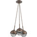 Cabochon LED 13.3 inch Burnished Bronze Cluster Pendant Ceiling Light in Smoke, 2700K LED
