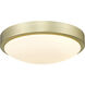 Gabi LED 10 inch Brushed Champagne Brass Flush Mount Ceiling Light