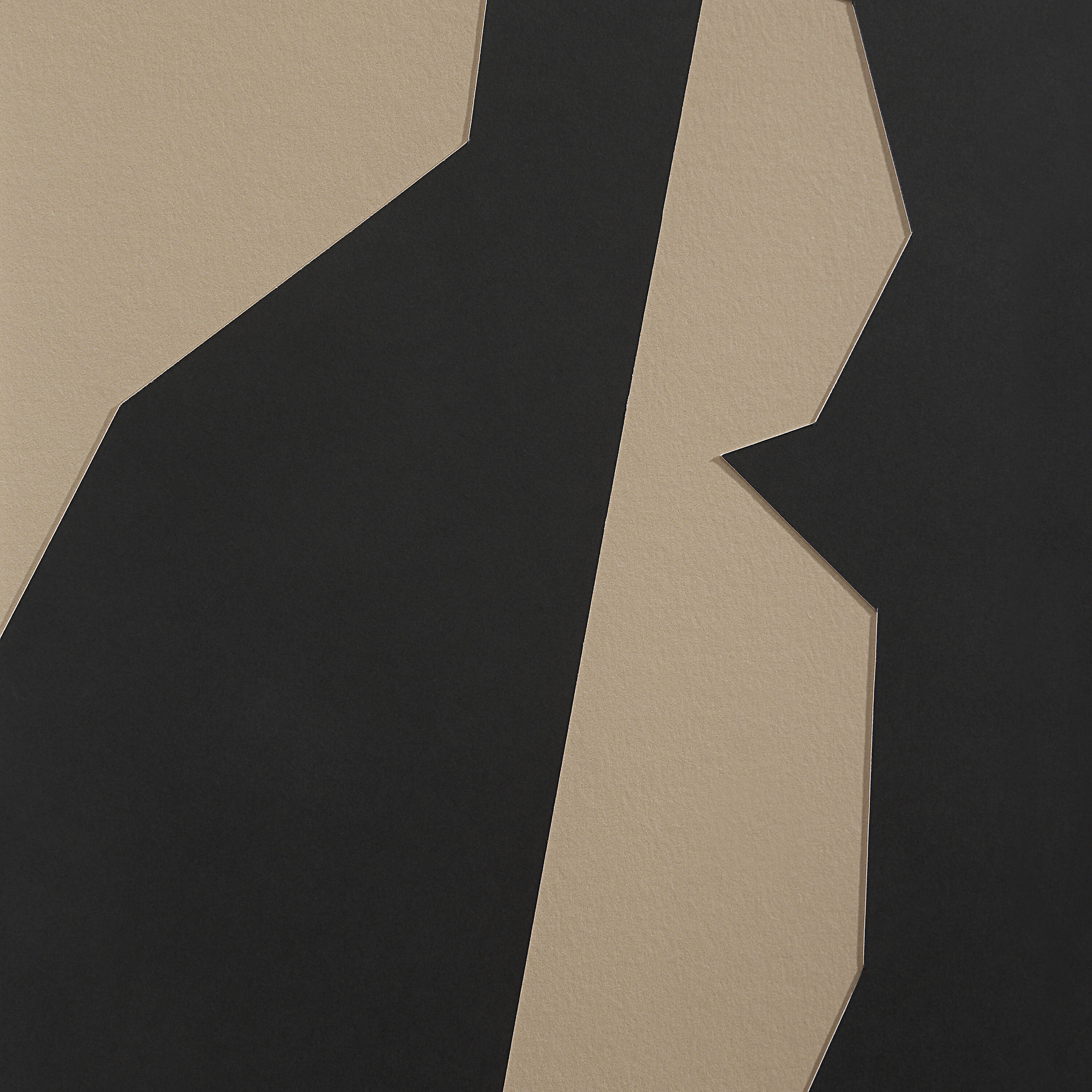 Ostra Black Wall Decor, Set of 9