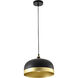 Canada 1 Light 12.9 inch Black and Gold Pendant Ceiling Light
