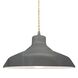 Radiance 1 Light 13.5 inch Gloss Grey and Brushed Nickel Pendant Ceiling Light