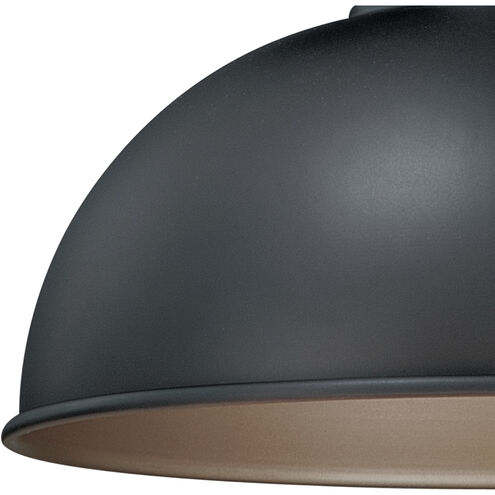 Franklin LED 10 inch Oil Burnished Bronze and Light Gold Outdoor Pendant