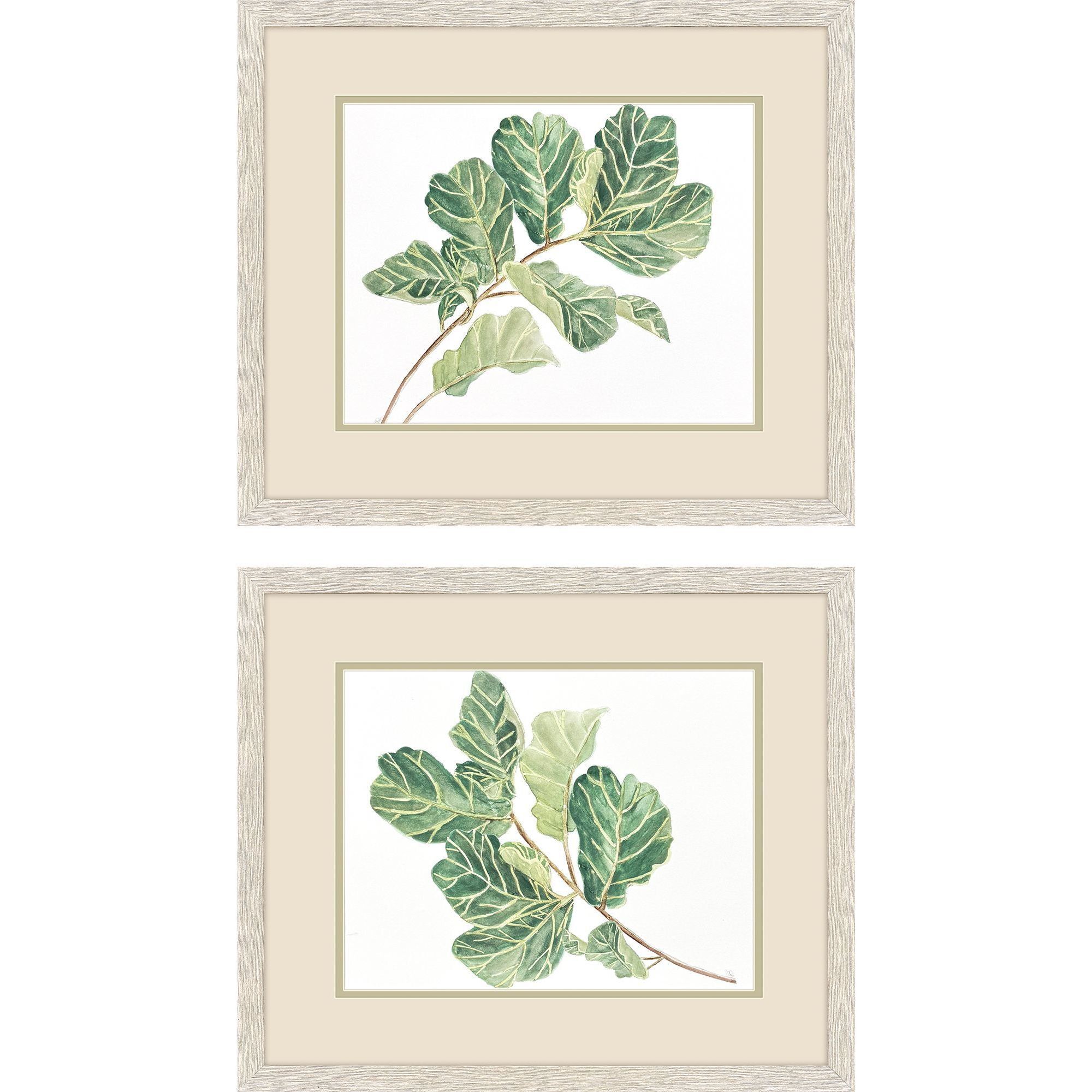 Fiddle Fig Leaf Green Framed Art, Propac